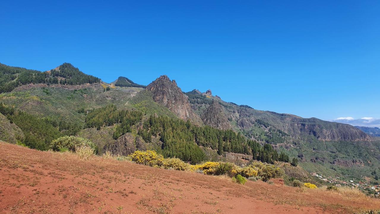 Casa Cueva Paquito Βίλα Vega de San Mateo Εξωτερικό φωτογραφία