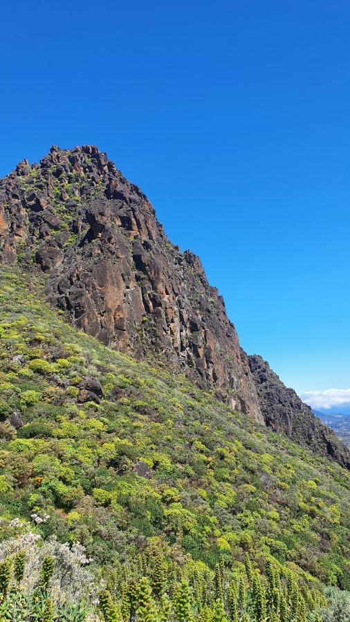 Casa Cueva Paquito Βίλα Vega de San Mateo Εξωτερικό φωτογραφία