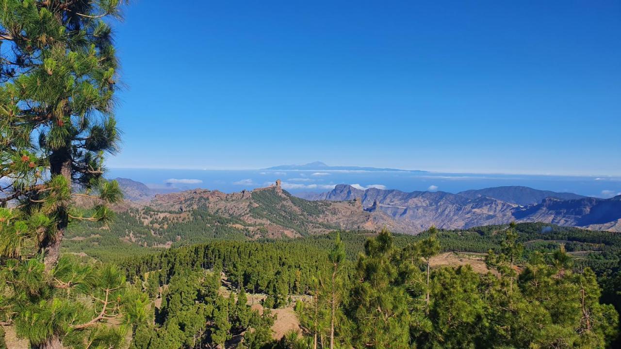 Casa Cueva Paquito Βίλα Vega de San Mateo Εξωτερικό φωτογραφία
