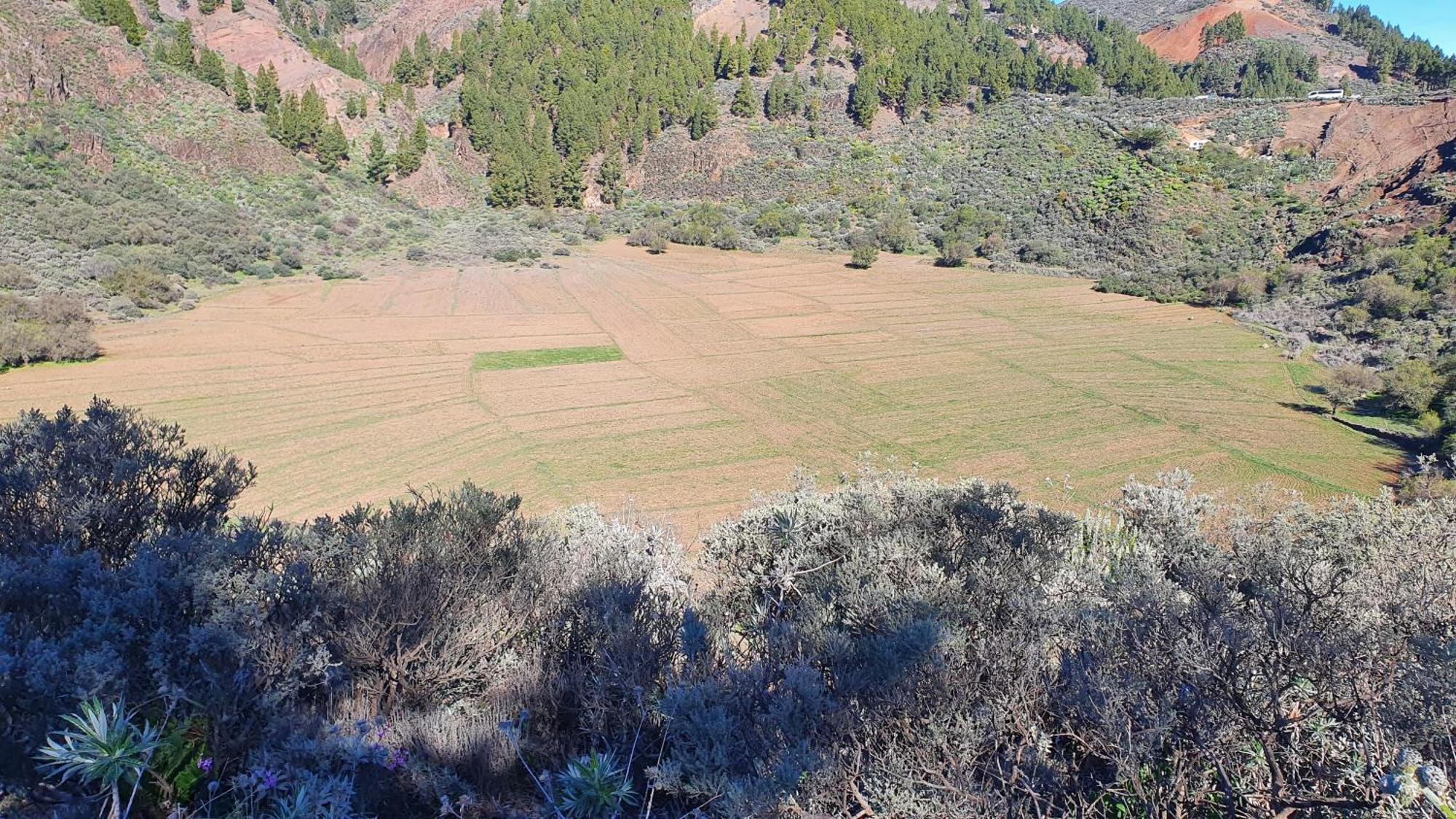 Casa Cueva Paquito Βίλα Vega de San Mateo Εξωτερικό φωτογραφία