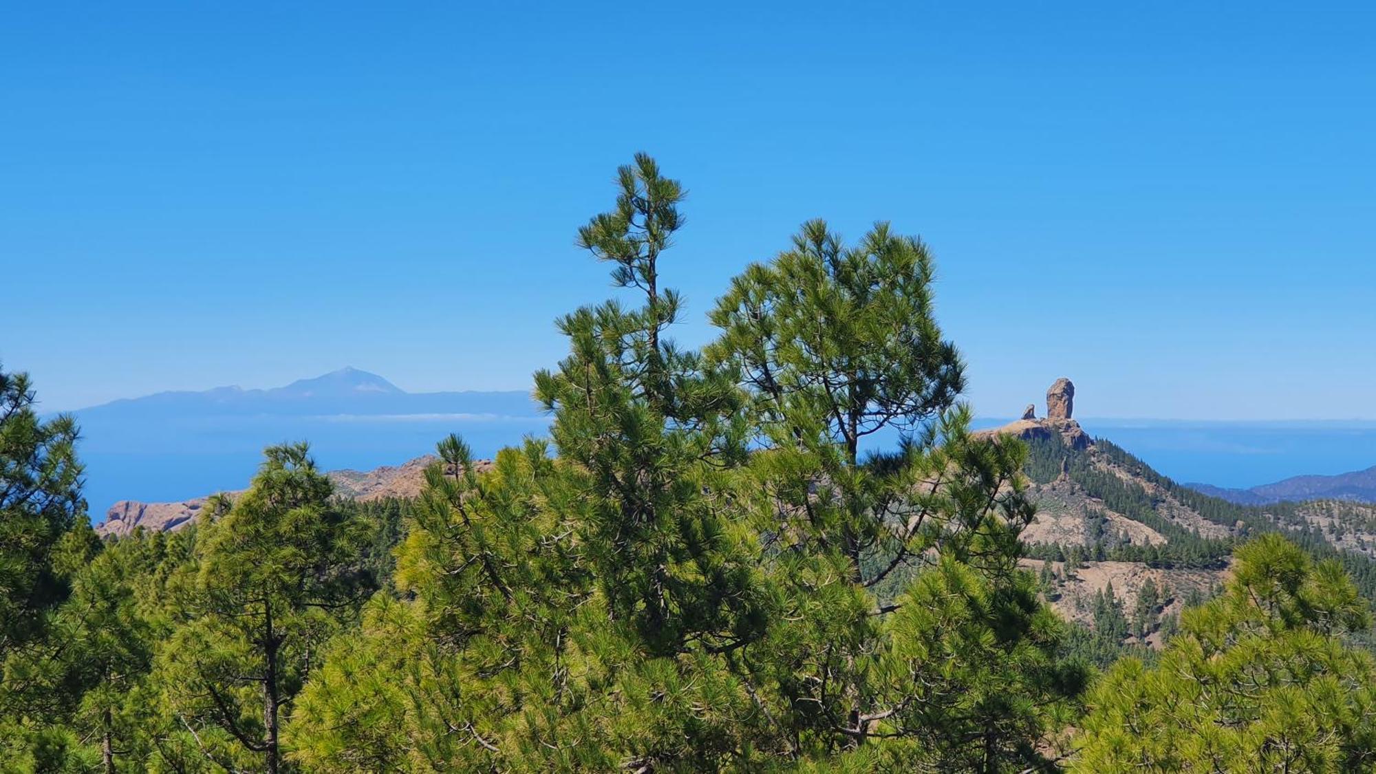 Casa Cueva Paquito Βίλα Vega de San Mateo Εξωτερικό φωτογραφία