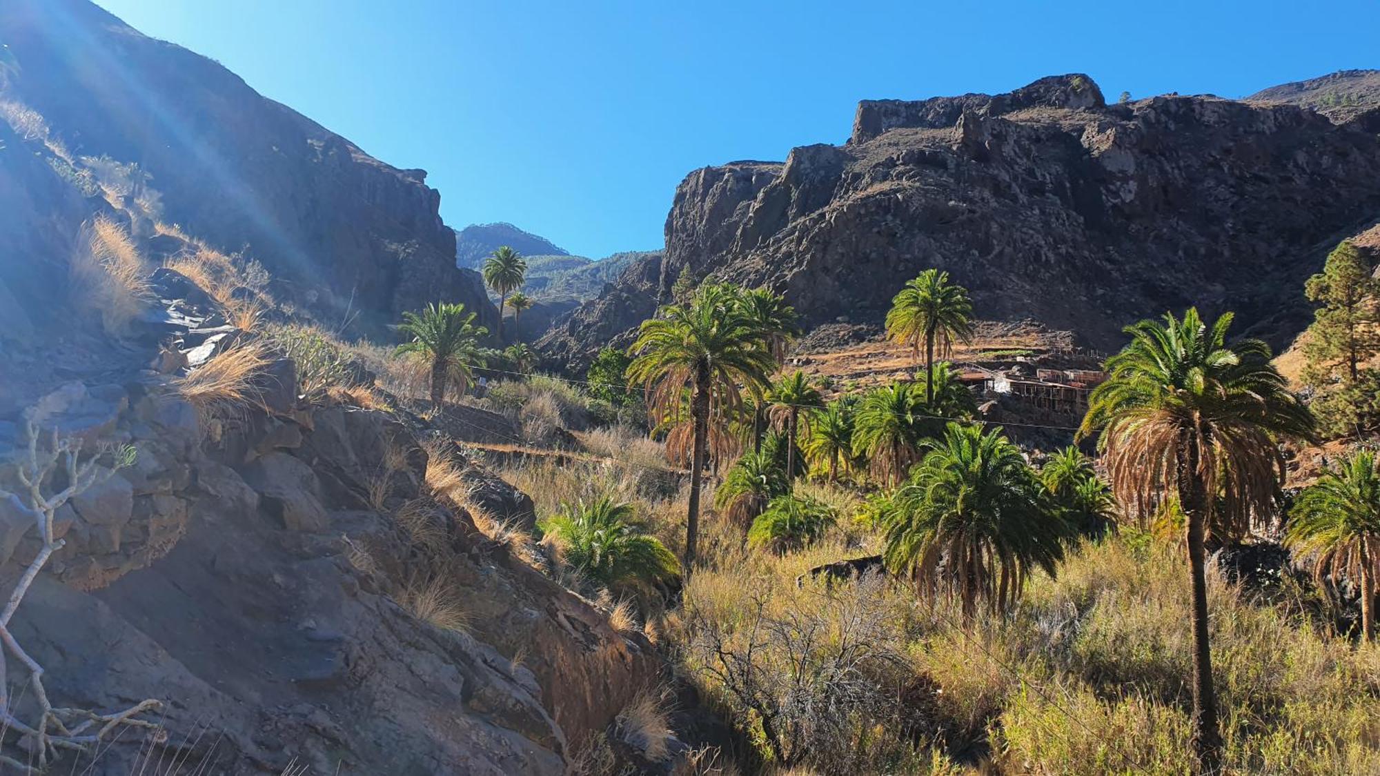 Casa Cueva Paquito Βίλα Vega de San Mateo Εξωτερικό φωτογραφία