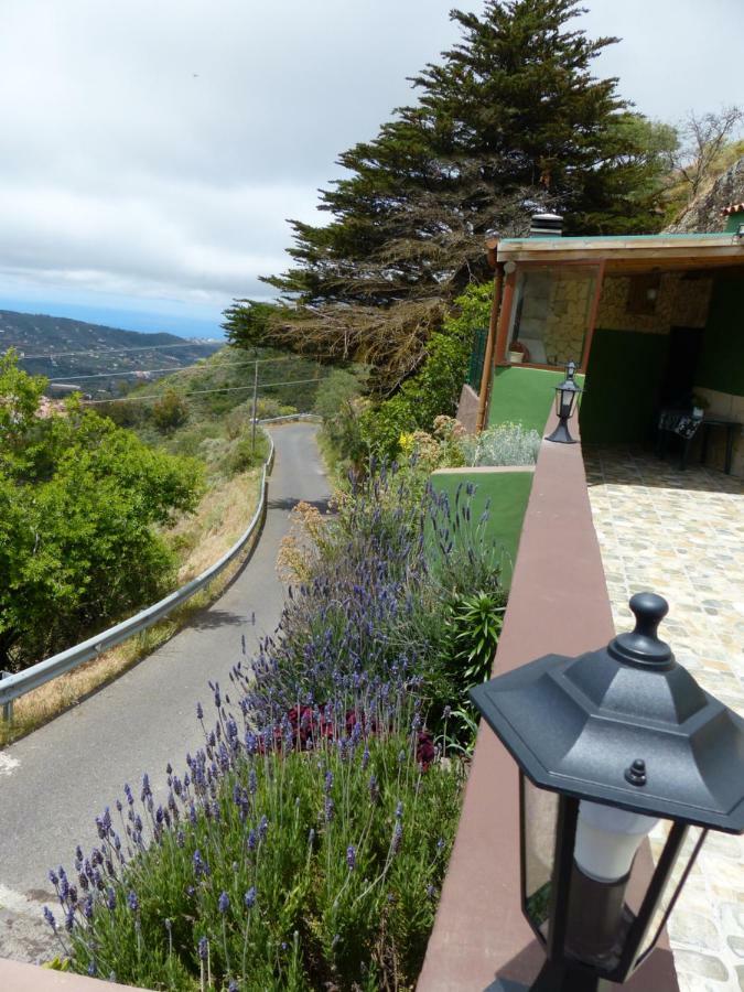 Casa Cueva Paquito Βίλα Vega de San Mateo Εξωτερικό φωτογραφία